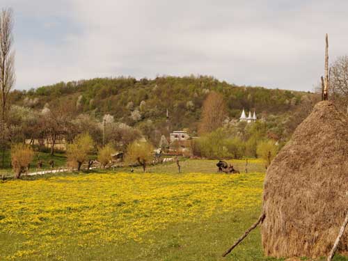 Foto Intre uitare si trufie (c) Petru Goja